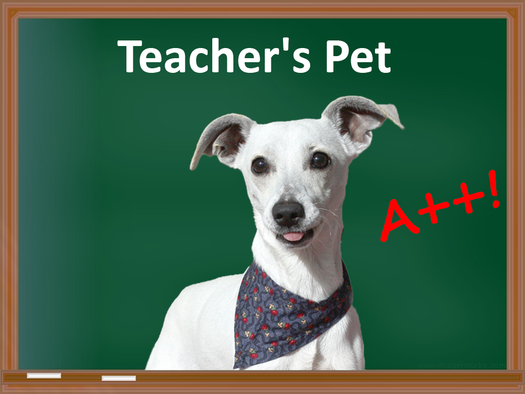 Переводчик pet. Teacher's Pet. Teacher's Pet idiom. Teacher Pet картинки. Питомец учителя the teachers Pet.