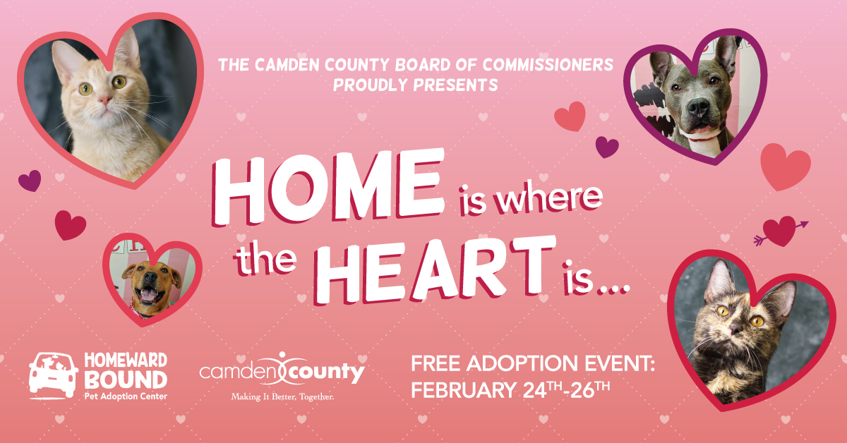 Homeward Bound Pet Adoption Center Offering Free Adoptions for Valentine's  Day | Camden County, NJ